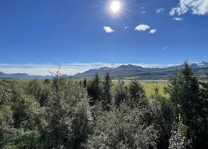 Forest Hideaway Near Akureyri